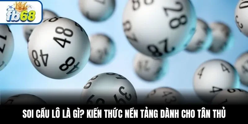 Soi cầu lô là gì? Kiến thức nền tảng dành cho tân thủ
