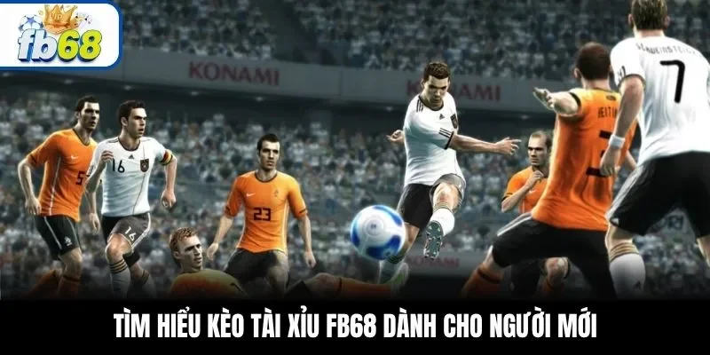 Tìm hiểu kèo tài xỉu FB68 dành cho người mới