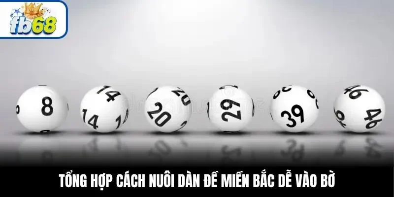 Tổng hợp cách nuôi dàn đề miền Bắc dễ vào bờ